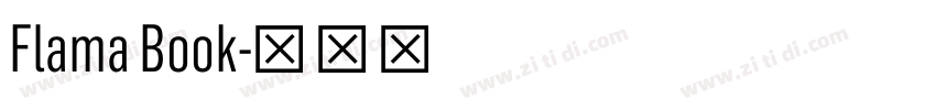 Flama Book字体转换